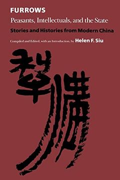 portada Furrows: Peasants, Intellectuals, and the State: Stories and Histories From Modern China (en Inglés)