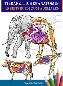 portada Tierärztliches Anatomie-Arbeitsbuch zum Ausmalen: Tierphysiologie-Arbeitsbuch zum Ausmalen mit Selbsttest zum Lernen und Entspannen Das perfekte Gesch