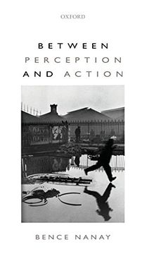 portada Between Perception and Action (en Inglés)