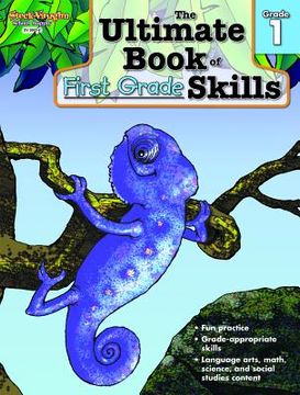 portada steck-vaughn giant book of skills: student edition (en Inglés)