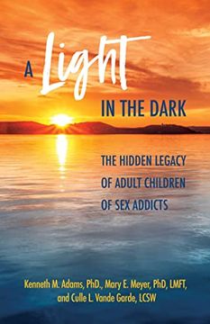 portada A Light in the Dark: The Hidden Legacy of Adult Children of sex Addicts (libro en Inglés)