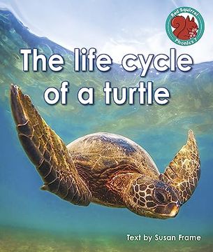 portada The Life Cycle of a Turtle (en Inglés)
