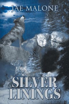 portada Silver Linings (in English)