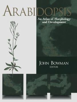 portada arabidopsis: an atlas of morphology and development (en Inglés)