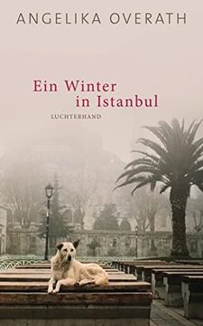 portada Ein Winter in Istanbul: Roman (in German)