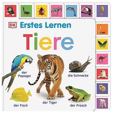 portada Erstes Lernen. Tiere: Pappbilderbuch mit Griff-Register und Über 180 Fotos ab 1 Jahr (in German)