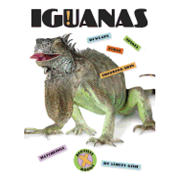 portada Iguanas (X-Books: Reptiles) (en Inglés)