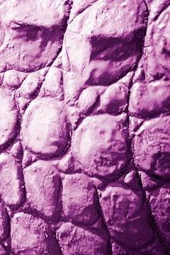 portada Alive! crocodile skin - Magenta duotone - Photo art notebooks (6 x 9 series) (en Inglés)