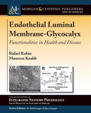 portada Endothelial Luminal Membrane-Glycocalyx: Functionalities in Health and Disease (Colloquium Series on Integrated Systems Physiology: From Molecule to Function to Disease)