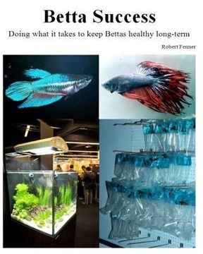 portada Betta Success: Doing what it takes to keep Bettas healthy long-term (in English)