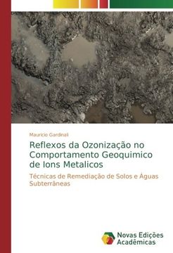 portada Reflexos da Ozonização no Comportamento Geoquimico de Ions Metalicos: Técnicas de Remediação de Solos e Águas Subterrâneas