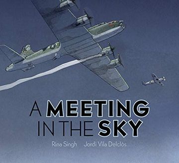 portada A Meeting in the sky (en Inglés)