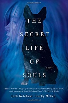 portada The Secret Life of Souls: A Novel