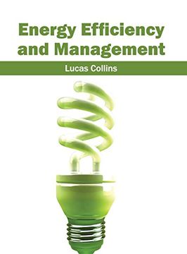 portada Energy Efficiency and Management (in English)