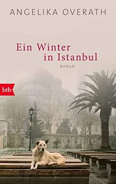portada Ein Winter in Istanbul: Roman (en Alemán)