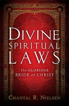 portada divine spiritual laws (en Inglés)