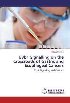 e3b1 signalling on the crossroads of gastric and esophageal cancers