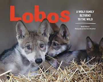 portada Lobos: A Wolf Family Returns to the Wild (en Inglés)