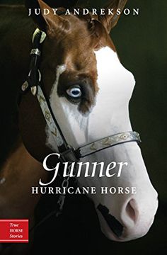 portada Gunner: Hurricane Horse (True Horse Stories) (in English)