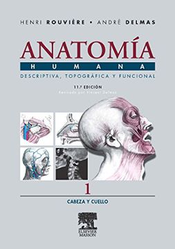 portada Anatomía Humana Descriptiva, Topográfica y Funcional. Tomo 1. Cabeza y Cuello (in Spanish)