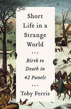 portada Short Life in a Strange World: Birth to Death in 42 Panels (in English)