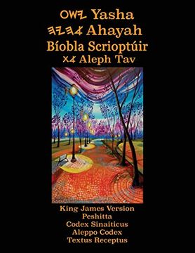portada Yasha Ahayah Biobla Scrioptuir Aleph tav (Irish Edition Yasat Study Bible) (en Irlandés)