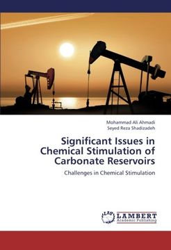 portada Significant Issues in Chemical Stimulation of Carbonate Reservoirs: Challenges in Chemical Stimulation
