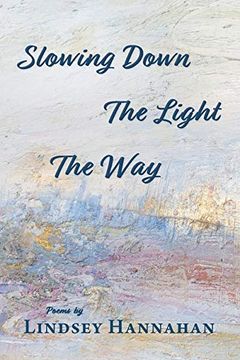 portada Slowing Down the Light the way (en Inglés)