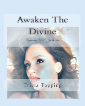 portada Awaken The Divine: Exposing U.S. Andersen (en Inglés)