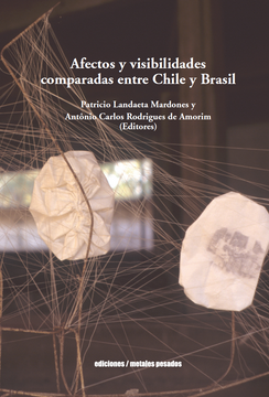 portada Afectos y visibilidades comparadas entre Chile y Brasil