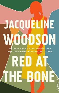 portada Red at the Bone: A Novel (in English)