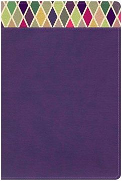 portada Holy Bible: Csb Rainbow Study Bible, Purple, Leathertouch (en Inglés)