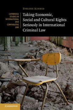 portada Taking Economic, Social and Cultural Rights Seriously in International Criminal law (Cambridge Studies in International and Comparative Law) (in English)
