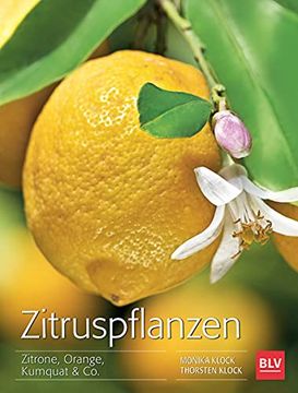 portada Zitruspflanzen: Zitrone, Orange, Kumquat & co. (en Alemán)