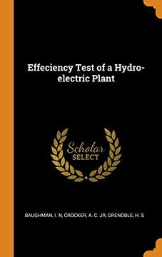 portada Effeciency Test of a Hydro-Electric Plant 