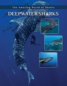 portada Deepwater Sharks (The Amazing World of Sharks) (en Inglés)