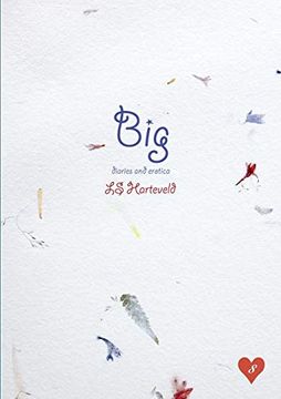 portada Big Diaries and Erotica (in English)