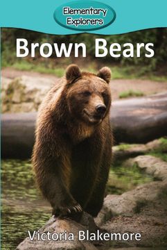 portada Brown Bears (en Inglés)