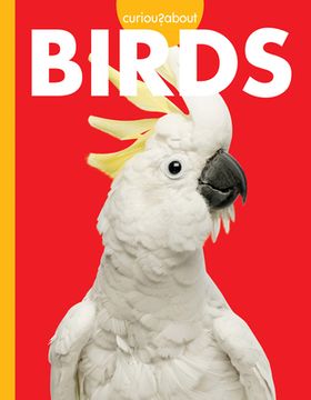 portada Curious about Birds