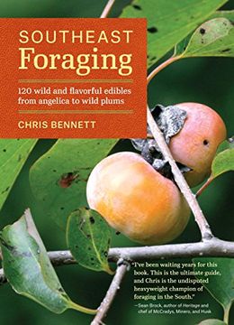portada Southeast Foraging: 120 Wild and Flavorful Edibles from Angelica to Wild Plums (Regional Foraging Series) (in English)