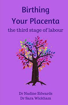portada Birthing Your Placenta: The Third Stage of Labour (in English)