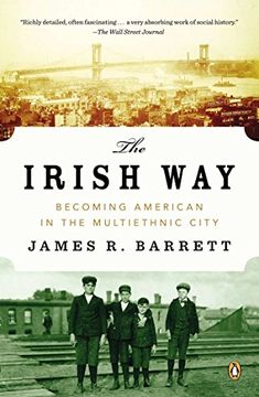 portada The Irish Way: Becoming American in the Multiethnic City (The Penguin History of American Life) (in English)