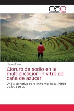 portada Cloruro de Sodio en la Multiplicación in Vitro de Caña de Azúcar: Una Alternativa Para Enfrentar la Salinidad de los Suelos (in Spanish)