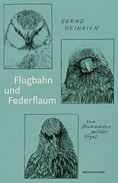 portada Flugbahn und Federflaum (en Alemán)