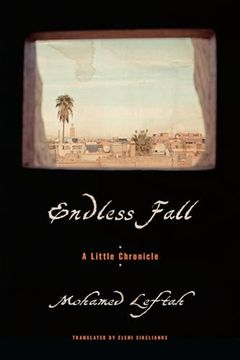 portada Endless Fall: A Little Chronicle (en Inglés)