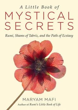 portada A Little Book of Mystical Secrets: Rumi, Shams of Tabriz, and the Path of Ecstasy