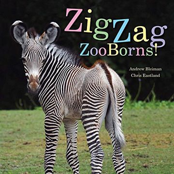 portada Zigzag Zooborns!  Zoo Baby Colors and Patterns (libro en Inglés)