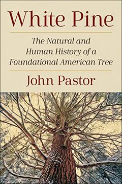 portada White Pine: The Natural and Human History of a Foundational American Tree (en Inglés)