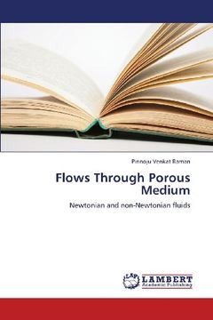 portada Flows Through Porous Medium
