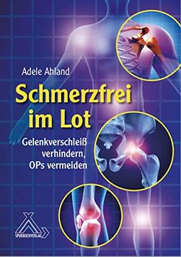 portada Schmerzfrei im lot (in German)